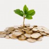 capitalism and sustainability