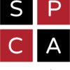 /home/lecreumo/public html/wp content/uploads/2018/12/spca