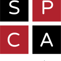 /home/lecreumo/public html/wp content/uploads/2018/12/spca
