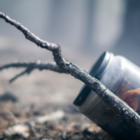 /home/lecreumo/public html/wp content/uploads/2023/10/capture decran le 2023 10 23 a 102846