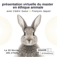 /home/lecreumo/public html/wp content/uploads/2024/02/capture decran le 2024 02 17 a 113312