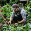 gardener-planting-seeds-stockcake